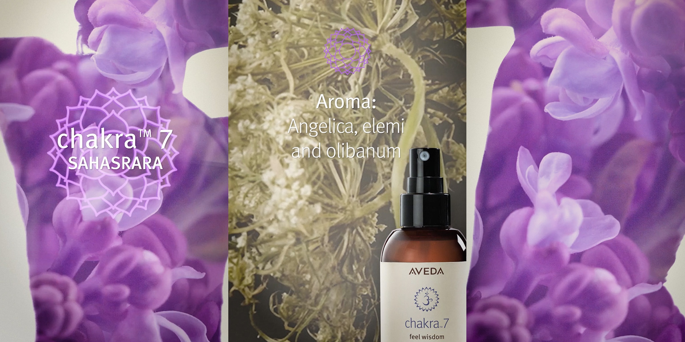 Chakra 7 aroma includes angelica, elemi and olibanum