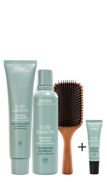 Scalp solution scalp treatment + paddle brush set